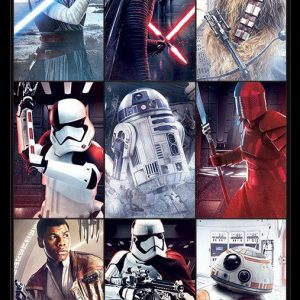 Star Wars The Last Jedi - Characters Poster